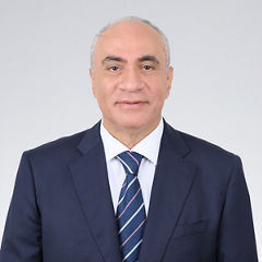 Maged Elmeneawy