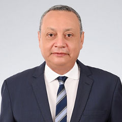 Mohamed Tarek