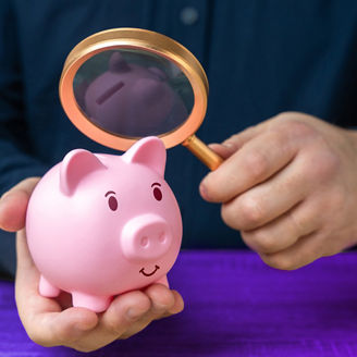 Someone is holding an artificial pig and looking at it through a magnifying glass.