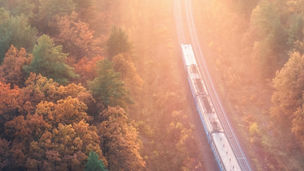 PPL-reflex-tool-2022-banner-1500x536.jpg