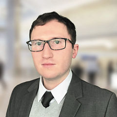 Piotr Cebulski Konsultant, Zarządzanie ryzykiem, Cyberbezpieczeństwo