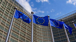 EU Corruption Institutions 