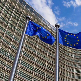 EU Corruption Institutions 