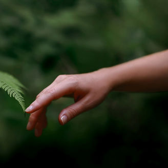 touching a plant