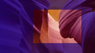 Shared Services and Outsourcing Advisory