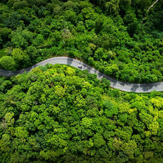 nature road
