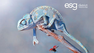 SUS-ESG-district-Sustainability-cameleon-2023-banner-1500x1000-1389.jpg