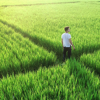 A business man is walking in nature, thinking about how he will de-tangle the EU taxonomy.