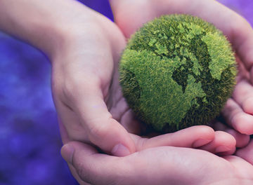 hands are holding a globe