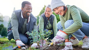 People planting together, symbolizing teamwork and a sustainable future.