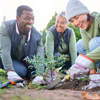 People planting together, symbolizing teamwork and a sustainable future.
