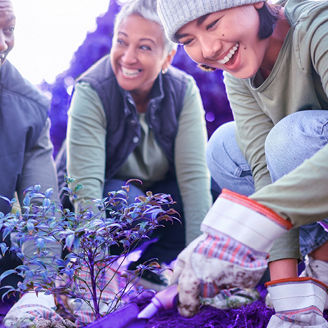 People planting together, symbolizing teamwork and a sustainable future.