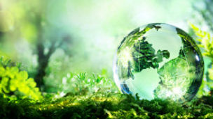 Sustainability & environment