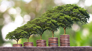 Sustainable Finance