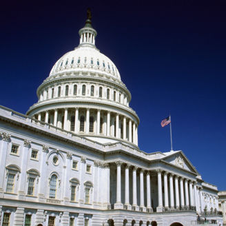 Trump Presidency Impact on Sectors and Markets