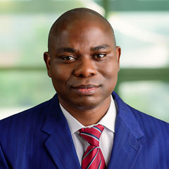 oluwole adelokun