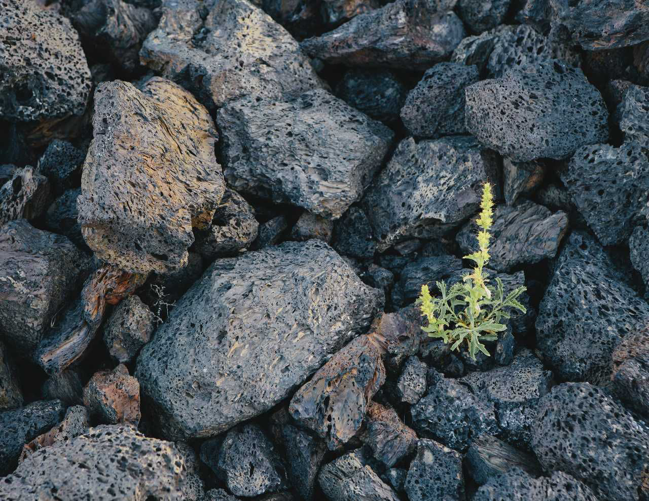 CGT Anti-Forestalling Measures – What you need to know | KPMG UK
