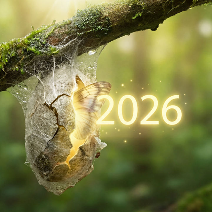 AAU Accounting and Auditing Update