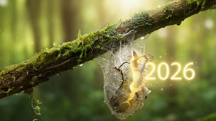 Issue no. 114 | January 2026