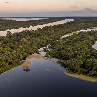 Lake view in green forest