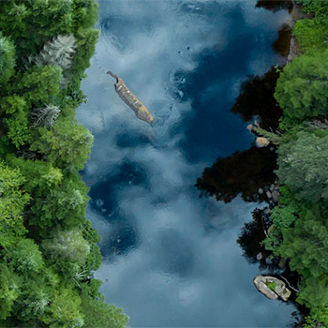 Aerial view of Boreal nature forest and river