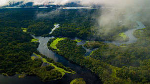 aerial-view-of-large-forest-with-river