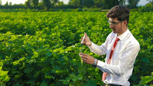 Young indian agronomist with test tube, Agriculture and scientist concept.