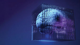 Ilustrační obrázek