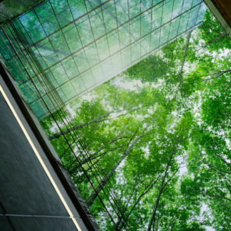 Eco-friendly building in modern city. Sustainable glass office building with trees for reducing carbon dioxide. Office building with green environment. Corporate building reduce CO2. Net zero emission