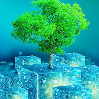 Tree surrounded by squares