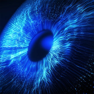 business-insights-edicion-56