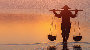 KPMG Business Insights 14