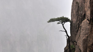 KPMG Business Insights 03