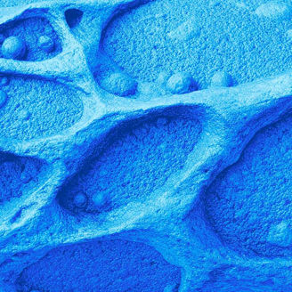 Blue abstract macro