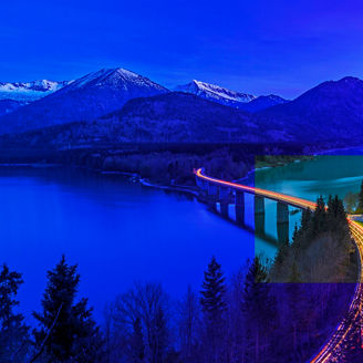 Bridge through forest