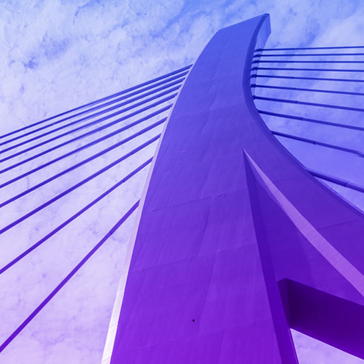 purple suspension bridge