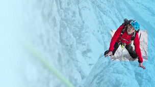 Employment in Austria