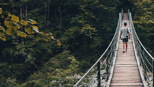 Brücke im Wald