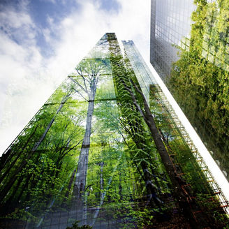 green city - double exposure of lush green forest and modern skyscrapers windows