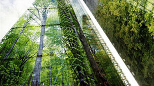 Building with plant shade