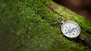 Compass in a forest