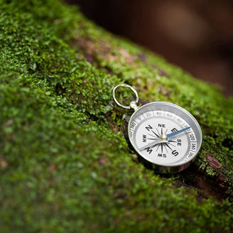 Compass in a forest