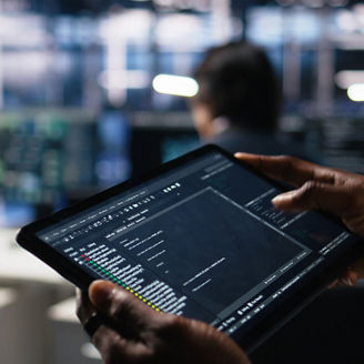 technology-it-risk-senior