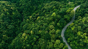 News on tax obligations of transport service providers