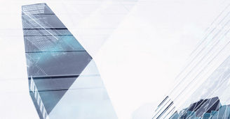New company law - Initial Findings from Practice