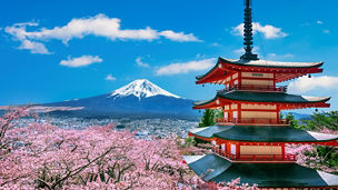 Cherry blossoms in spring, Chureito pagoda and Fuji mountain in Japan.