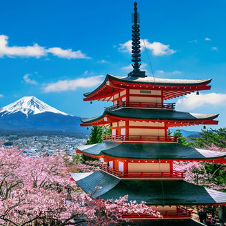 Cherry blossoms in spring, Chureito pagoda and Fuji mountain in Japan.