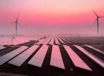 solar panels