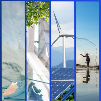 Cop 29 image