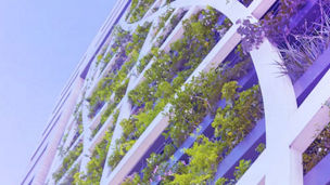 eco friendly building